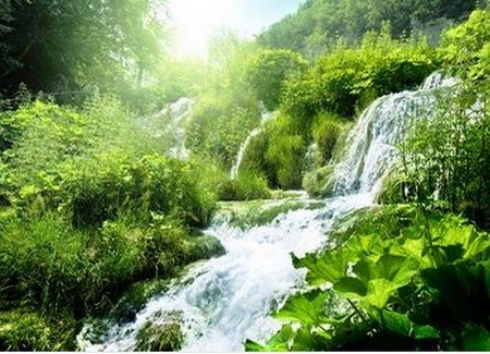 protection eau environnement écologie